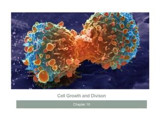 Chapter Notes Cell Growth And Division Ppt