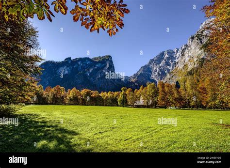 Tourist boat trip shipping on the Königssee meadow on the Königssee