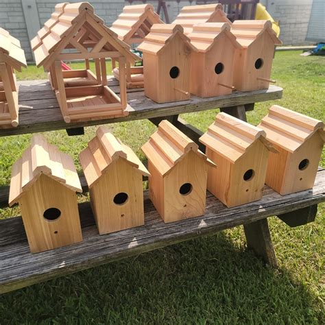 Mini Bird Houses Diy Cedar Etsy