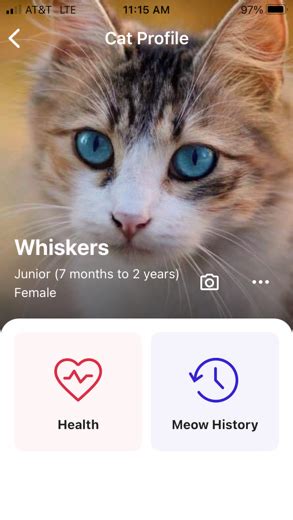 MeowTalk Cat Translator for iPhone - APP DOWNLOAD