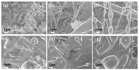 Influence Of Temperature On Characteristics Of Particulate Matter And