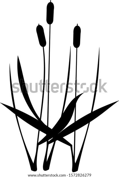 Beach Grass Vectorelements Black Silhouette Stock Vector Royalty Free