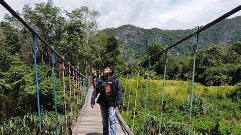 Viral Jadi Spot Swafoto Di Kalsel Begini Indahnya Pemandangan Jembatan