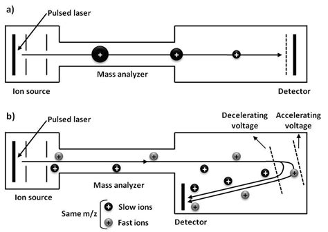 11 Schematic Representation Of Linear And Reflectron Time Of Flight