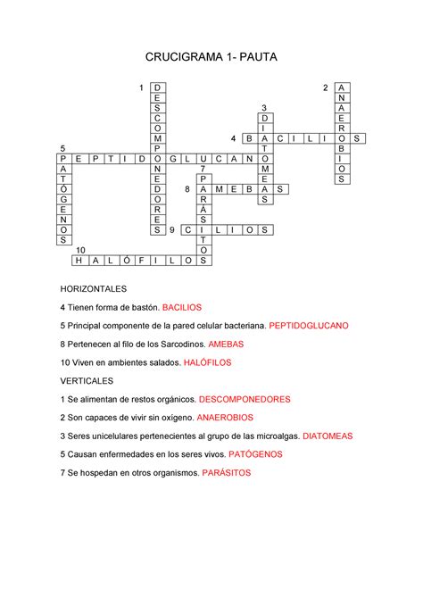 Caracteristicas De Los Seres Vivos Crucigramapdf Organismos Porn Sex