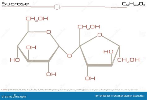 Molecule Of Sucrose Stock Vector Illustration Of Education 104400455