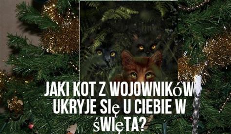 Jaki Kot Z Wojownik W Ukryje Si U Ciebie W Wi Ta Samequizy