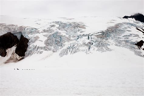 Dog Sledding On The Ice Field Of Mendenhall Glacier Alaska