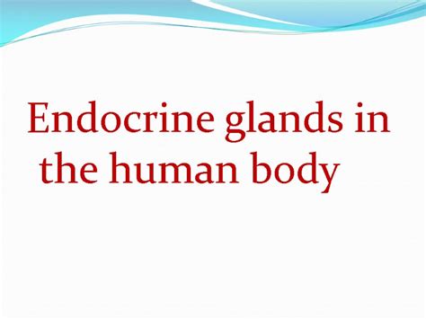 Endocrine System Human Body Is Controlled By 2