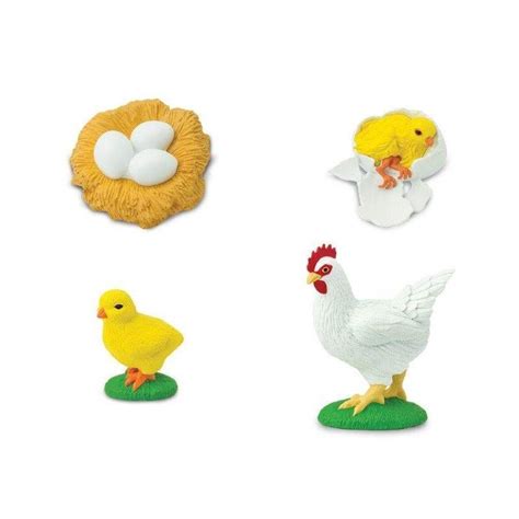 Safari Ltd Figurines Le Cycle De La Poule Jeux Jouets Bois