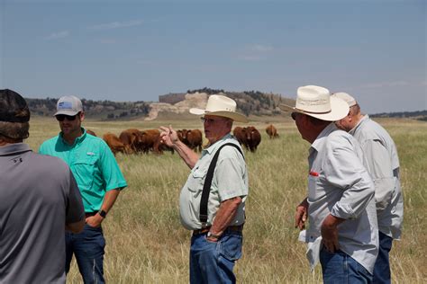 Krvn Krvn Kami Pastures In Western Nebraska Respond