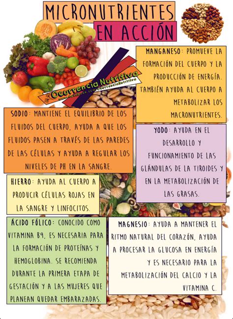 Conoce Los Micronutrientes Y Sus Beneficios Consejos De Nutricion