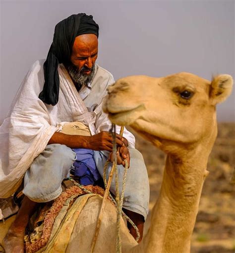 La Grande Traversée de l Adrar Voyage Mauritanie Atalante