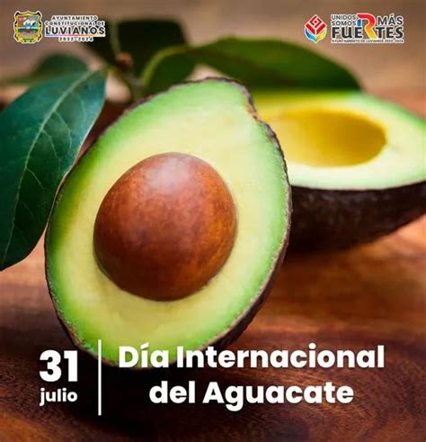 Hoy celebramos el Día del Aguacate Nuestro país es el principal