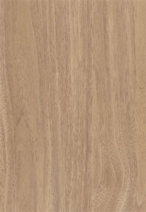 Naked Italian Walnut Interior Design Solutions
