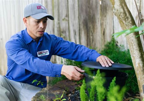 Local Mosquito Control Solutions Near You Abc Home Services