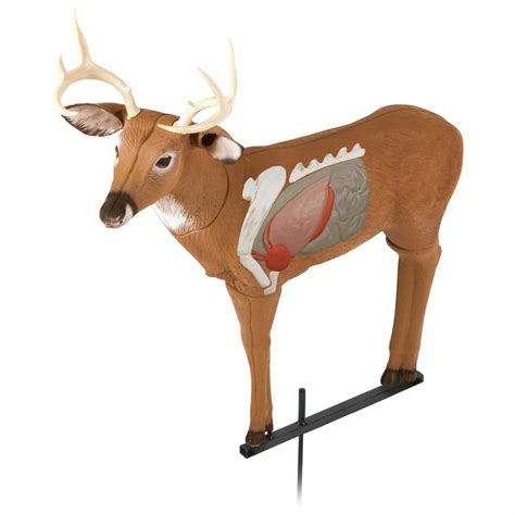 Delta Mckenzie Archers Choice 3d Real World Buck Archery Target