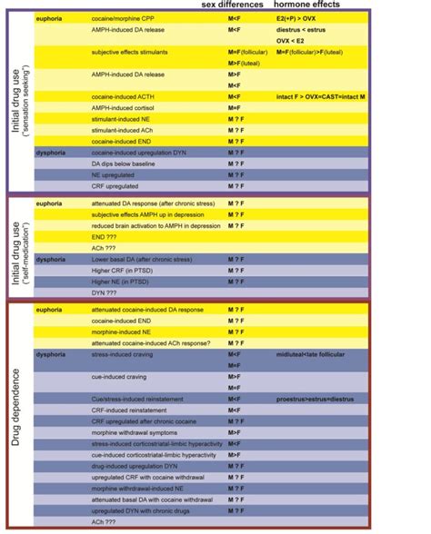 Sex Differences In The Neural Mechanisms Mediating Addiction A New Synthesis And Hypothesis