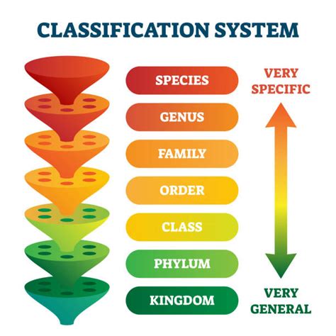 1,810,400+ Species Classification Stock Photos, Pictures & Royalty-Free ...