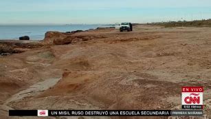 Un niño de 8 años que caminaba por la playa descubrió un fósil