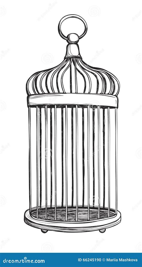 Birdcage Isolated On White Background Stock Vector Illustration Of