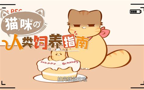 猫咪的人类饲养指南 动态漫第32集 国创 全集 高清正版在线观看 Bilibili 哔哩哔哩