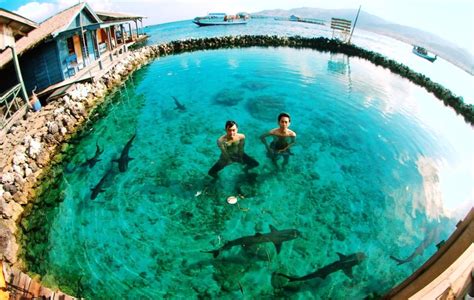 Liburan Seru Di Pulau Pramuka Dengan Paket Wisata Paket Wisata Pulau