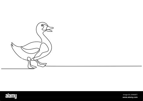 Duck Single Continuous One Line Out Line Vector Art Drawing Stock