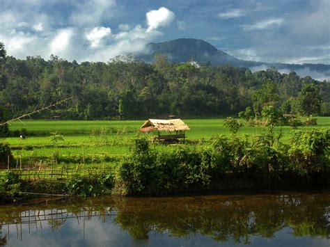 Hutan Desa Kki Warsi