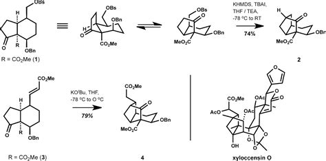 Modern Steroid Science An Approach To The Total Synthesis Of Phragmalin Type Limonoids