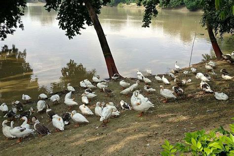 Moti Jheel - Kanpur: Get the Detail of Moti Jheel on Times of India Travel