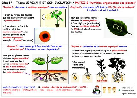 Nutrition Et Organisation Des Plantes Me Evaluation