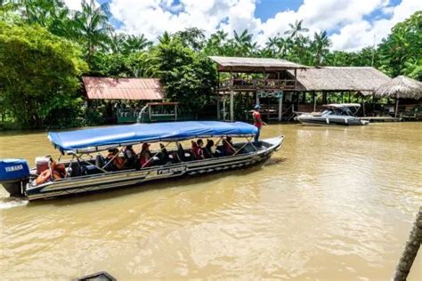 Ilha Do Combu Bel M Do Par Melhores Restaurantes E Atra Es