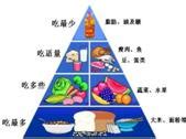 如图所示的食物金字塔是我国营养学家提出的膳食合理搭配根据图示回答 1 位于塔底的五谷类是人体每天应摄取最多的 它含有的营养素最多的一种是