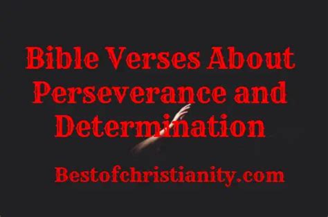 Bible Verses About Perseverance And Determination