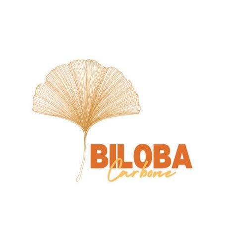 Fiche Biloba Carbone Association Pour La Transition Bas Carbone