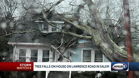 Tree Limbs Fall Across Roads Down Wires Tree Falls On House In Salem