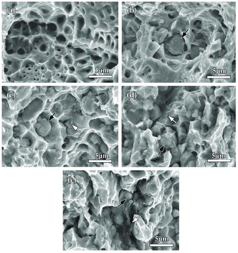 Sem Micrographs Of Tensile Fractography Of The Sintered Pure Copper And