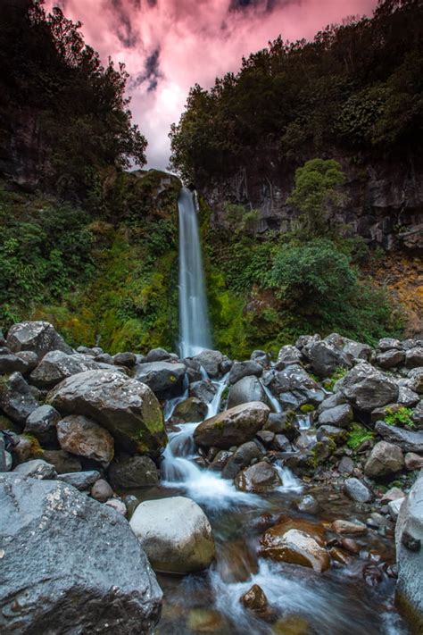 Dawson Falls Mt Taranaki North Island, New Zealand