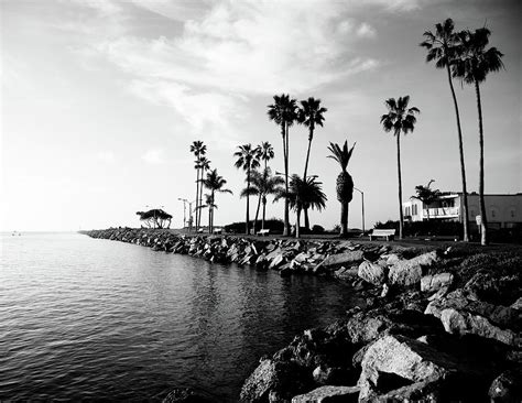 Newport Beach Jetty Photograph By Paul Velgos