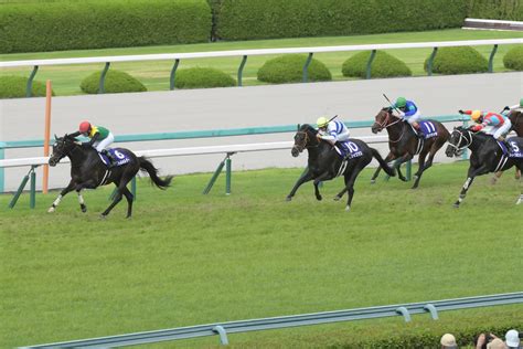 【宝塚記念】タイトルホルダーがレコードでgⅠ3勝目 凱旋門賞へ視界良好｜競馬ニュース｜競馬予想のウマニティ