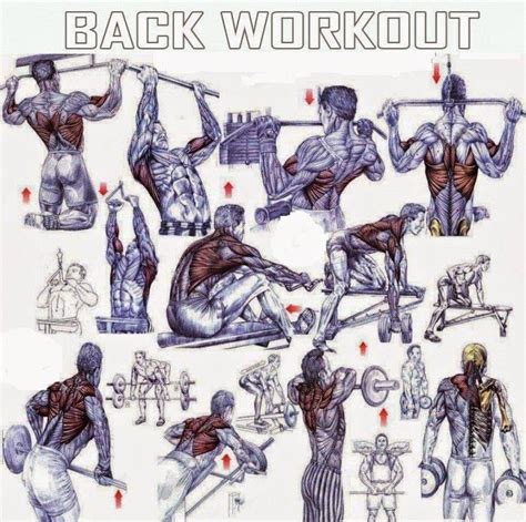 The Best Back Exercises For Mass﻿ Bodybuilding Back Workout Good