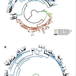 Phylogenetic Analysis Maximum Likelihood Phylogenetic Analysis Of