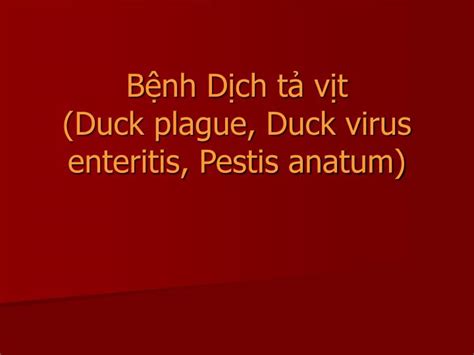 PPT - B ệnh Dịch tả vịt (Duck plague, Duck virus enteritis, Pestis anatum) PowerPoint ...