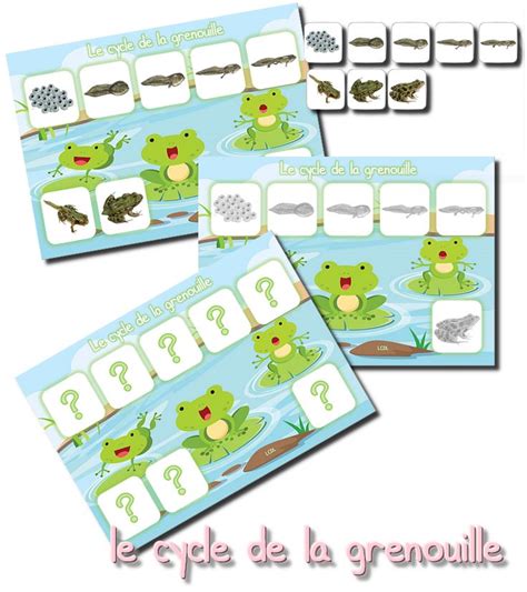 La Maternelle De Laurene Grenouille Maternelle