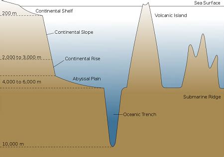 Abyssal Plain | Definition & Formation | Study.com