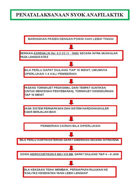 Bagan Syok Anafilaktik Pdf