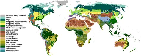 Freshwater Wetland Map