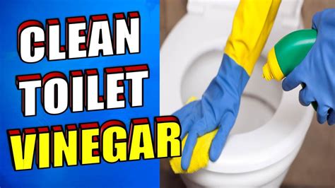 How To Clean A Toilet With Vinegar Youtube