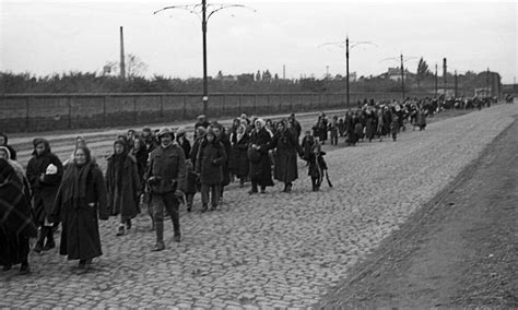 Holocaustul lecturi și filmulețe din care să afli mai multe Catchy